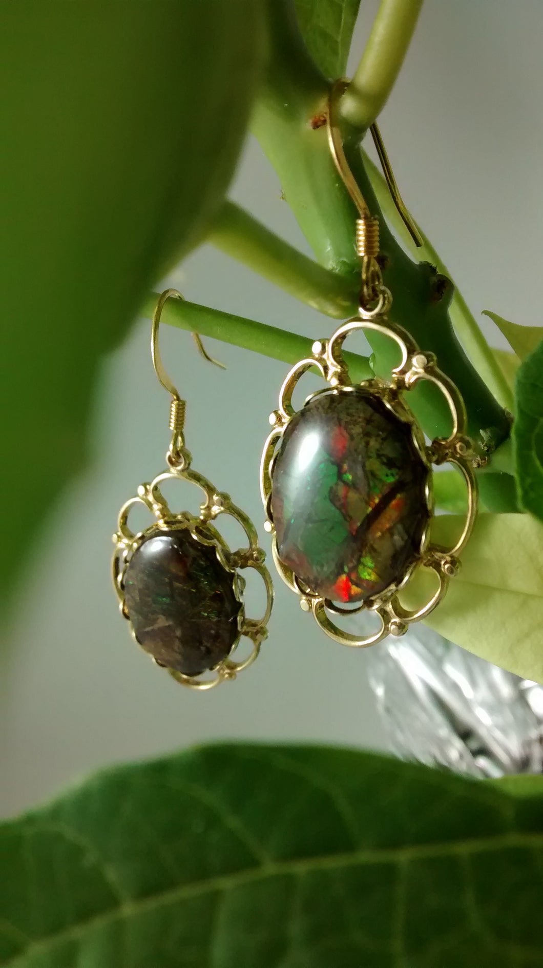 Ammolite Pierced Earrings