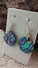 Load image into Gallery viewer, Front of abalone shell pierced earrings
