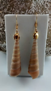 Shell Earrings