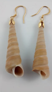 Shell Earrings