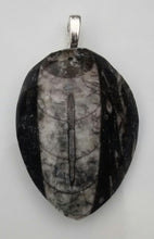 Load image into Gallery viewer, Orthoceras Fossil Pendant
