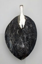 Load image into Gallery viewer, Orthoceras Fossil Pendant
