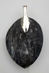 Orthoceras Fossil Pendant