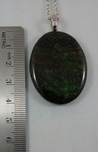 Size of ammolite necklace with greenish - blue colors